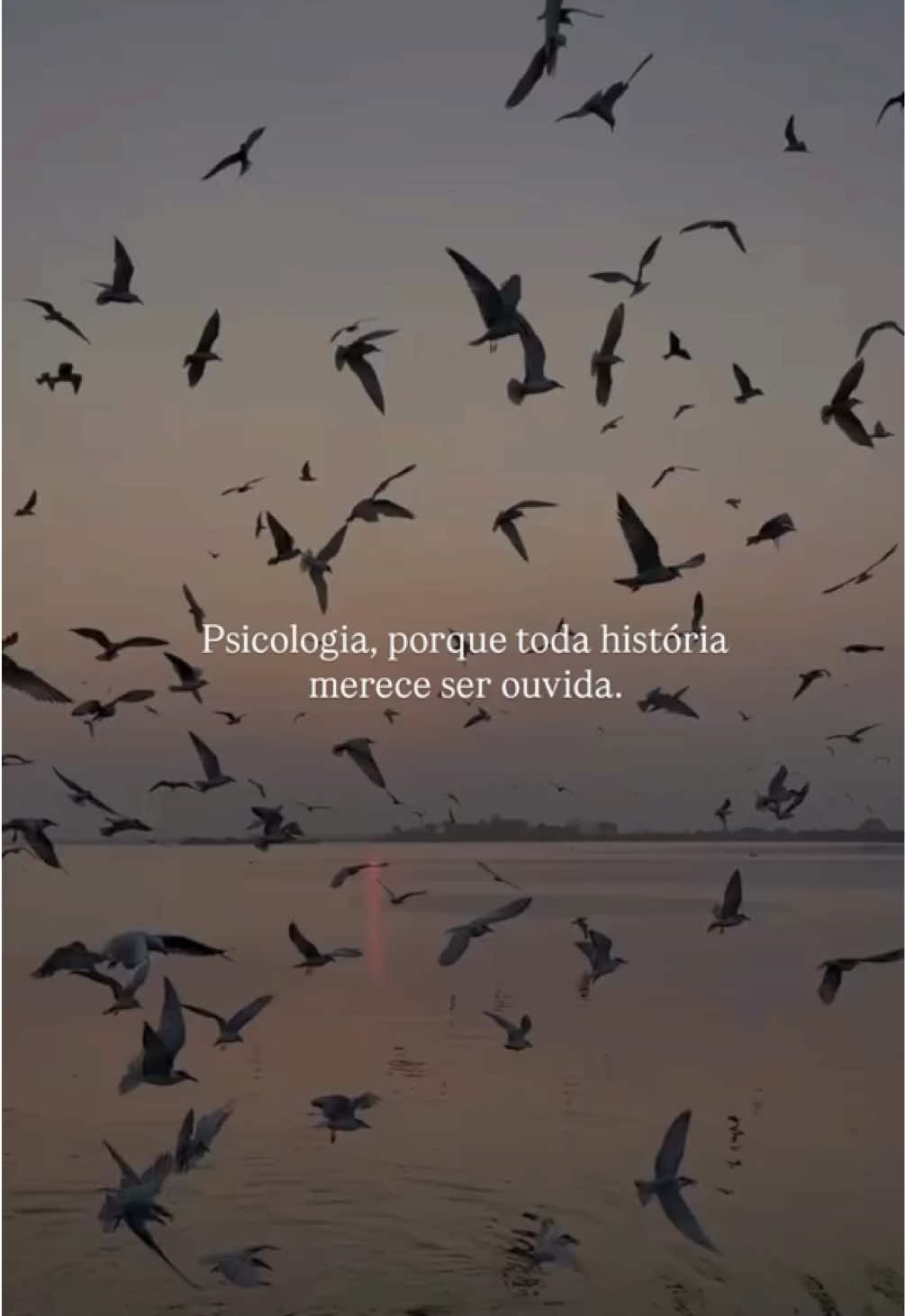 Hoje meu coração se volta para uma profissão que acredito profundamente: a psicologia. 💛 Ela nos ensina que ninguém precisa carregar o peso da vida sozinho, que até no silêncio existe um pedido de cuidado, e que todo ser humano merece ser visto em sua essência. 🌿 Ser psicólogo (a) é oferecer um olhar sem julgamentos, um espaço seguro para o desabafo e a coragem para ajudar alguém a se (re)descobrir. É estar presente no caos e nas conquistas, nos dias difíceis e nos recomeços. A todos os psicólogos (as) e futuros colegas de profissão meu carinho e gratidão. Vocês ajudam o mundo a ser um lugar mais humano, um passo de cada vez, uma escuta de cada vez. 🧠✨ Feliz Dia do Psicólogo! Feliz nosso dia!  #DiaDoPsicólogo #Psicologia #estudantedepsicologia #cuidado #foryou    