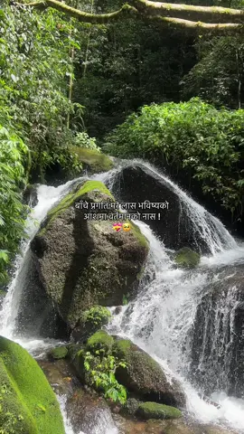 🥺💝#fyp #foryou #naturelover #foryoupage 