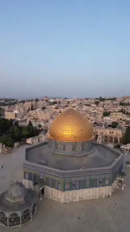 #فلسطين #تونس #الجزائر #ليبيا #مصر 