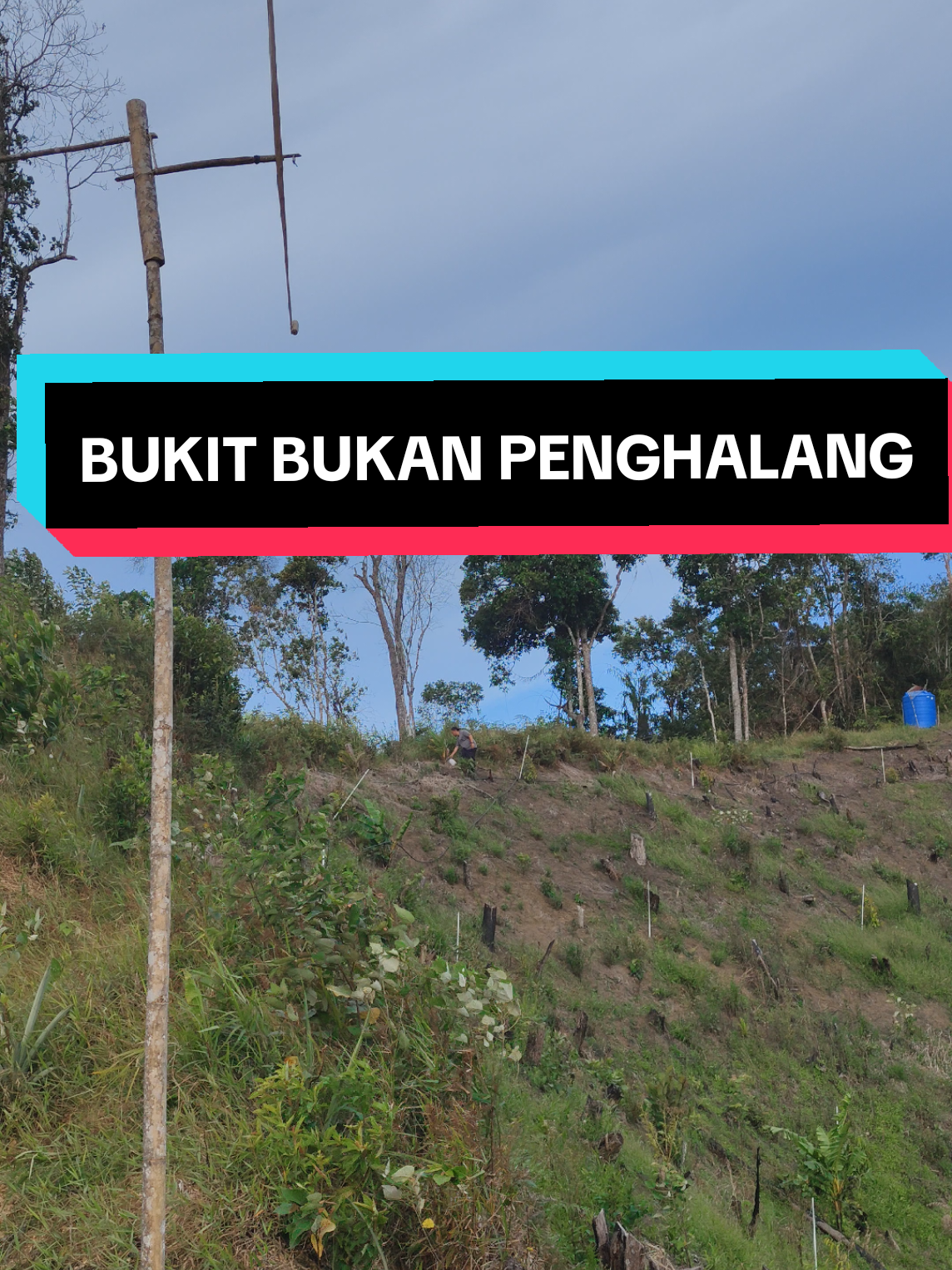 Bukit curam bukan penghalang.. Nikmati proses.. #fypシ゚viral  #kebunkecil #kebundurian  #farmlife 