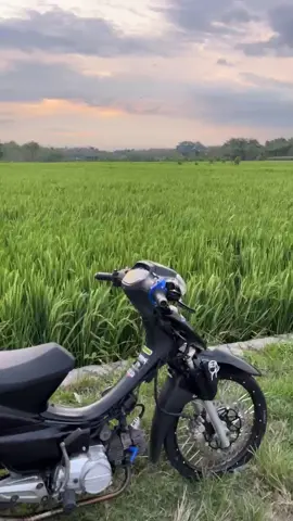 infoo nyore with you #w9style #lewatberandamu #fypdongggggggg #supraw9style #supramodifikasi 