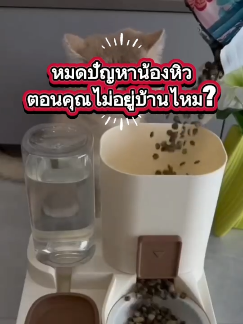 หมดปัญหาน้องหิวตอนคุณไม่อยู่บ้าน #เครื่องให้อาหารสัตว์เลี้ยง #เครื่องให้อาหารสัตว์อัตโนมัติ #ชามอาหารสัตว์เลี้ยง #เครื่องให้อาหารอัตโนมัติ #ทาสหมาแมว 