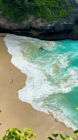 Nusa Penida - Indonésie 🇮🇩  📍Kelingking Beach 🌊 #nusapenida #kelingkingbeach #beachday #views #fyp