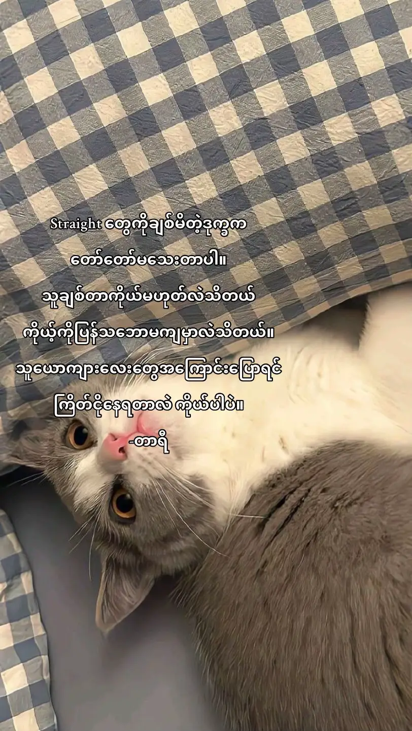 #wuhluhwuh #taryikhin #တာရီ #libracmh #wlw 