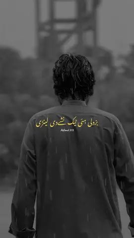 بزدلی ہئی ٹیک نشےدی لینڑی #meesam_khokar #punjabipoetry #lines #writes #poetrylover 