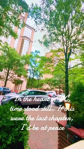 #peacefulheart   #TimelessMoments #Stillness #WashingtonDC #simplepleasures 