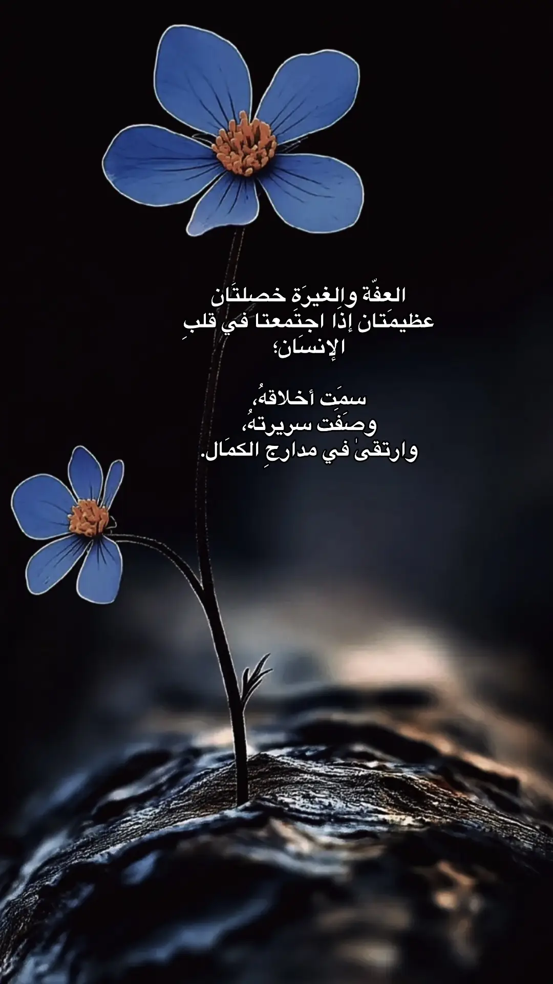 جعلني الله واياكم ممن سريرته صافية  وجعلني الله واياكم من مخمومي القلب