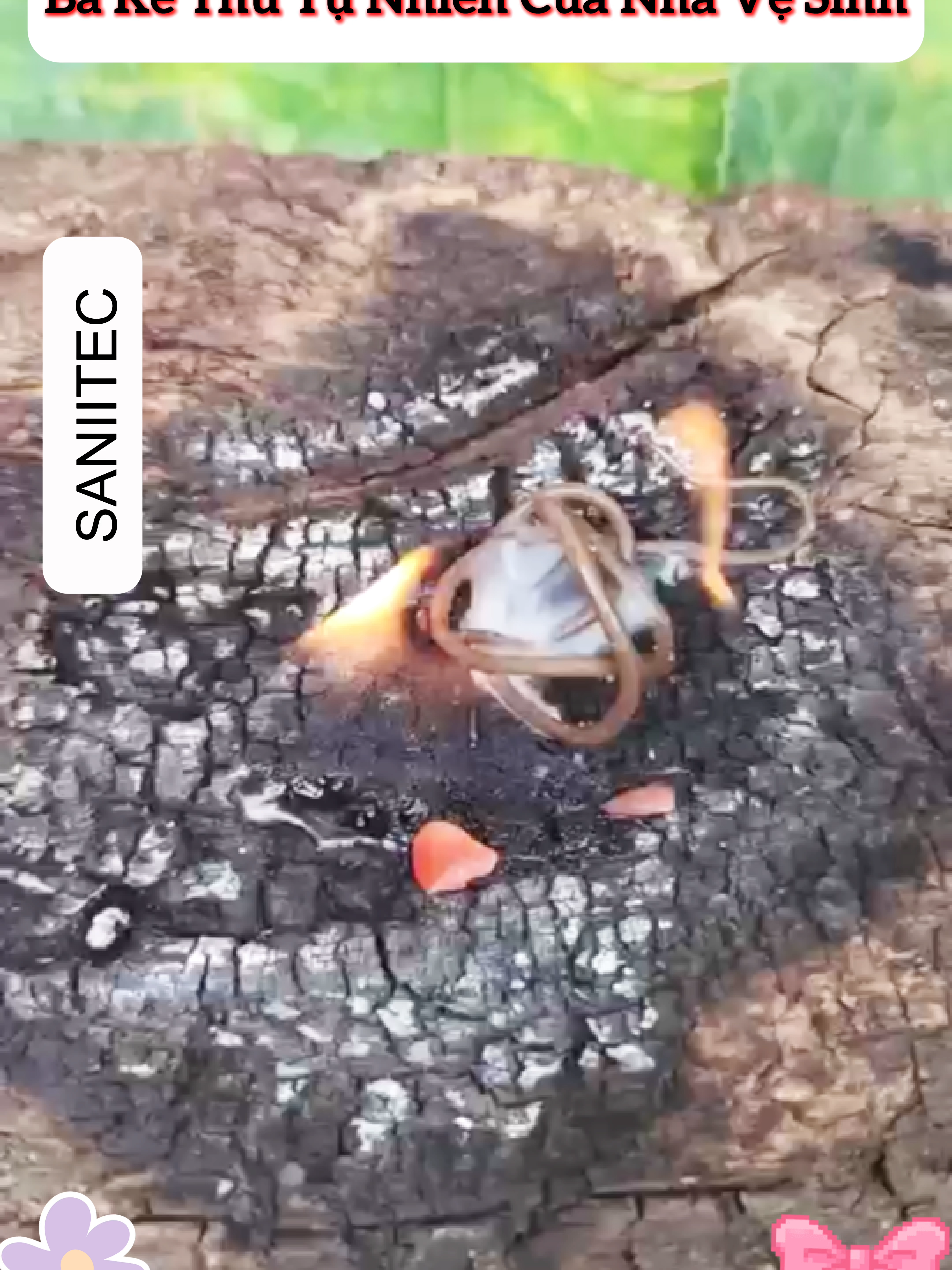 Tóc, dầu mỡ và rác thải tích tụ lâu ngày gây tắc cống. Gọi thợ tốn kém lại mất thời gian, chỉ cần 1 gói bột mọi đường ống thông thoáng và sạch sẽ nhanh chóng #bothongcongsinhhoc #botthongcong #Saniitec #KURAMIDO #toiletcleaner #tienichgiadinh #reviewthat #tietkiemmoingay #giadinhvietnam #mebimsua #noitrothongminh #chattaydaumo #tiktoktrending #xuhuongtiktok #meohaygiadinh #foryou