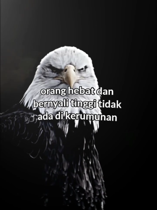 #🃏 #storywa #katakatabijak #masukberandafyp #viraltiktok 