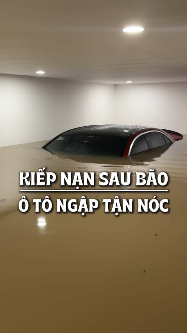 Kiếp nạn sau bão của Hoa🥹#luongvuthieuhoa #lvth #bephoa #LearnOnTikTok #anhcgr 