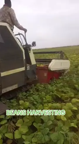 Beans Harvester #fmworld #redstone #tiktokkenya #kenyantiktok🇰🇪 