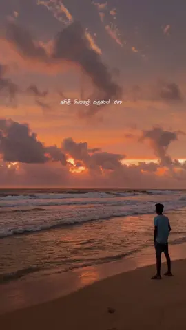 කොහෙදෝ මා දමා ඉගිලුනේ... 💔🥀 #fyp #foryou #sinhalasong #srilanka #sunsetvibes 