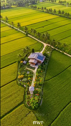 #ទេសភាពស្រុកស្រែ🌄🏜️🌱🌼🌾🐟 #ផ្ទះលំហែ #ម៉ូតផ្ទះ #ប្លង់ដី 