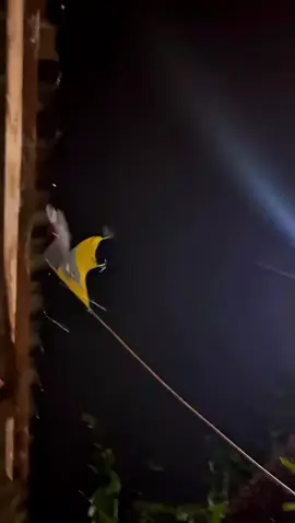 PSHT JAAN🪷 #pshtnganjuk  #pshtpusatmadiun  #1922🐜  #pshtrayonjaan 