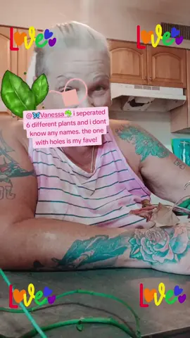 Will you lemme know what the names are i love em all cant wait for the roots thank you so much#bikermemaw💚🖤👑🏍️ @🦋 Vanessa ☘️ #fypシ゚viral #FRIENDS 