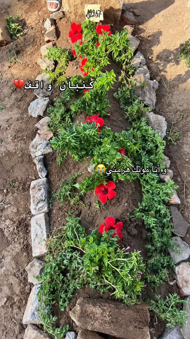 #fpyシ #fvv #إنا_لله_وإنا_إليه_راجعون 💔💔😭