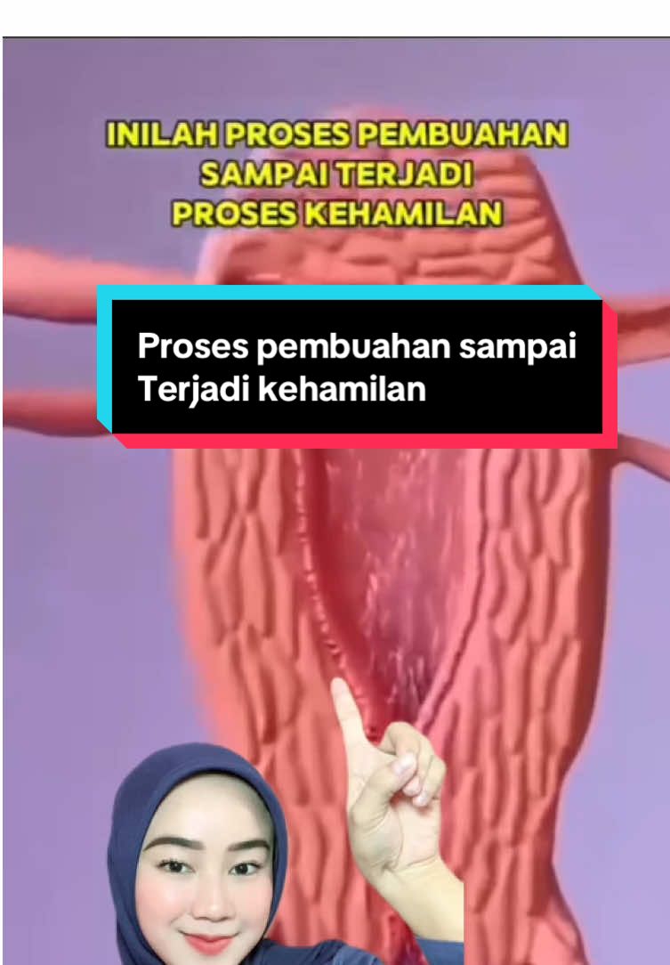 Ini proses pembuahan sampai terjadinya kehamilan 😱 #kehamilan #fyp #medikacare #herbamen #edukasikehamilan 