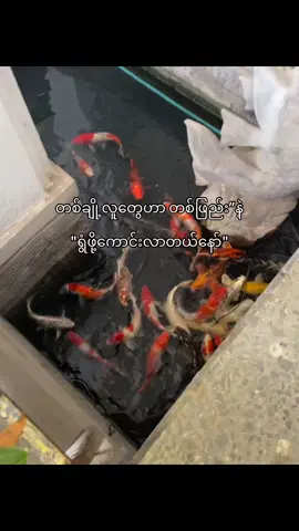 🥴#crd#fypシ゚viral #foryoupage #