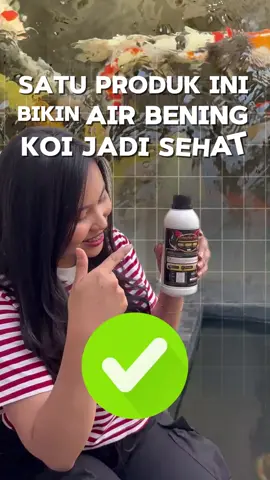 Kolam  bening cuma modal 1 botol Probiomax Ultra! 🔥 Bersih, sehat, tanpa ribet✨ #KolamKoi #ProbiomaxUltra #fyp #promogajiansale