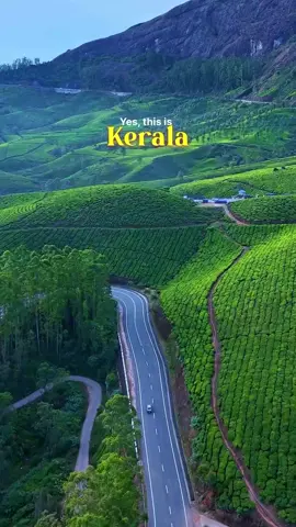 💚💚💚#munnar #for #fyp #foryou #creatorsearchinsights 