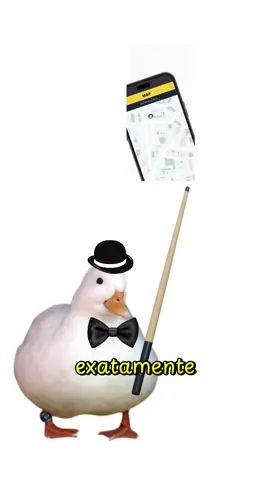 Como rastrear alguém explicado por patos. #curiosidades #patos