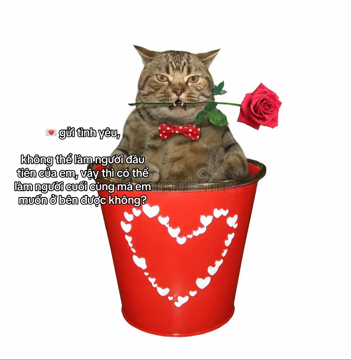 #xh 