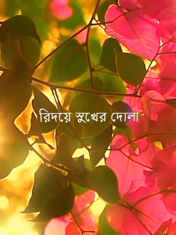 Feel This song 😊🖤#foryou #fyp #lyrics_songs #lyricsvideo #lyrics 