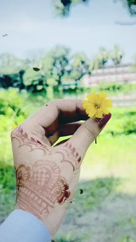 Sotti?🤍🌼 #logno #foryou #foryoupage #viraltiktok #view 