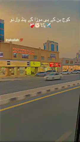 Inshallah 💯❤️‍🩹#foryou #fyp #hamzafam #foryoupag #viralvideo 