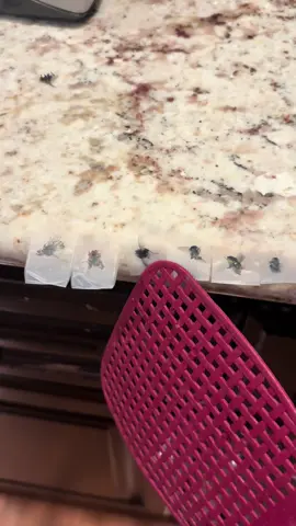 Not on my watch… #fly #funny #fyp #67 #tape 