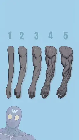 Arm Levels Ranked Which One Are You?#musclegrowth#gym #suqat  #howtobuildmuscle #calisthenics #squat #CoreTraining #bisep #musclegrowth 
