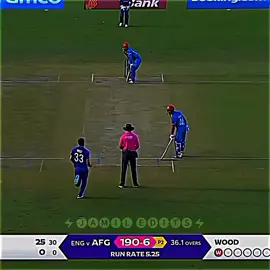 Rashid Khan cover Drive