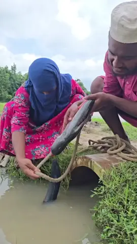 #funny #fun #trending 