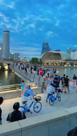 Very beautiful place in the world Singapore where is best place to visit in Singapore for foreigners in 2025 #bestplacesingapore #merlionparksingapore #marinabaysingapore #chinatownsingapore #foryou 