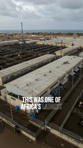 Somalia's Industrialization Boom: A Forgotten Economic History  #SomaliIndustrialization #AfricanEconomicHistory #SelfSufficiency #ImportSubstitution #RegionalEconomicPower