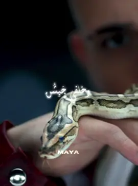 @Al shami - الشامي #foryoupage #explore #alshami #viral #بتهون 