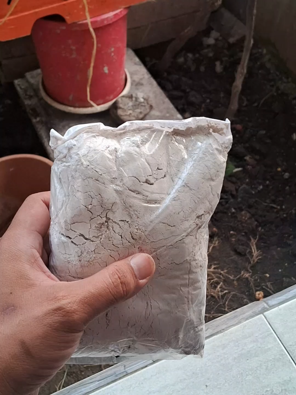 🌱 Tanaman Layu? Coba Kapur Dolomit! 🌿 Bikin Tanaman Subur & Sehat  #KapurDolomit #TanamanSubur #TipsBerkebun #PupukOrganik     