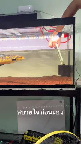 นิ้วแทบบขาด55555555