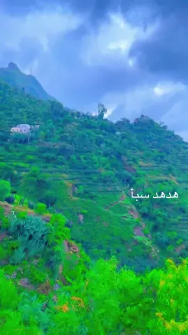 كنت دوما أتجول في هناء مثل بلبل 🕊️#اناشيد_رآئعة #اناشيد_قديمة #اليمن_صنعاء_روح_قلبي_عدن_تعز_إب #الشعب_الصيني_ماله_حل😂 #اكسبلور 