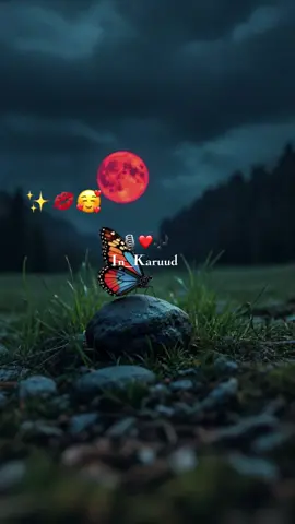 Qoftaada Halka Ugu Wac❤️✨💋🫂💍 #soo_jeediye_mohaz_in_karud #mohaz_in_karud #geeraar_jaceyl🥰♥️🥀 #follow_to_follow_back #Haraadin_Qaladkayga_ 