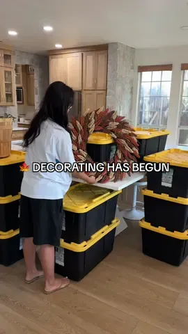 Replying to @T. Loscalzo now I have some holiday spirit 🤭 what should our Halloween costumes be??🤔