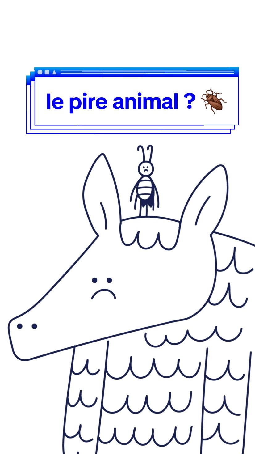 le pire animal pour une réincarnation ? feat Coline #pangolins #virus #cafards #reunion #marketing #market #animal #animation #drole #humour #funny #fyp #anim 