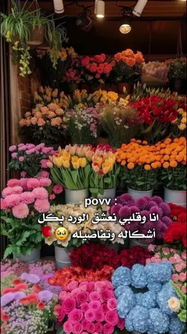 انا وقلبي نعشق الورد بكل أشكاله وتفاصيله 🥹🌹  #تصميمي #سورية #حلبية #اقتباساتي 