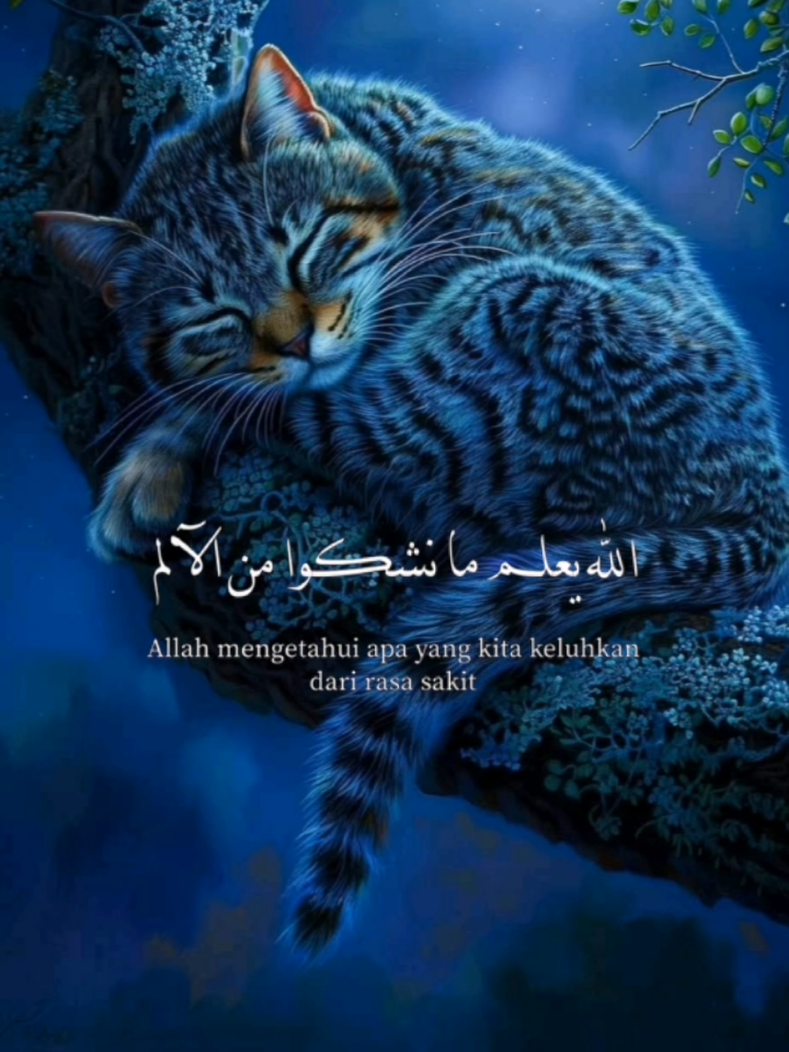 #CapCut  #الله_يعلم_ما_نشكو_من_الالم  #وما_نعانيه_من_ضيق_ومن_سقم😭❤️‍ #الضيق #نشكو #الالم  #اناشيد_بدون_موسيقي #اكسبلور #ترند_تيك_توك_جديد  #الشعب_الصيني_ماله_حل😂😂   