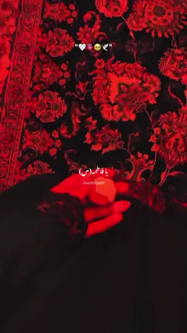Ya Faitmaس🤍🥹#haideriyam #shiastatus #yafatima #unfreezemyacount #fyp @TiktokPakistanOfficial 