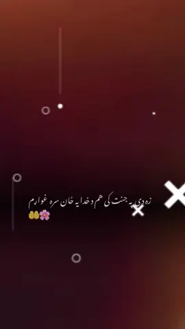 #CapCut #gulrukh83 #sharjah #afghanistan #trending 