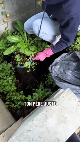 #nettoyage #tombe #cimetiere #enterrement 