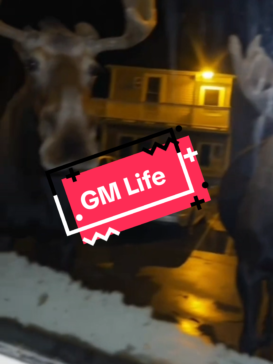 #stitch with @ELKOSS #gmlife #dnd #ttrpg 