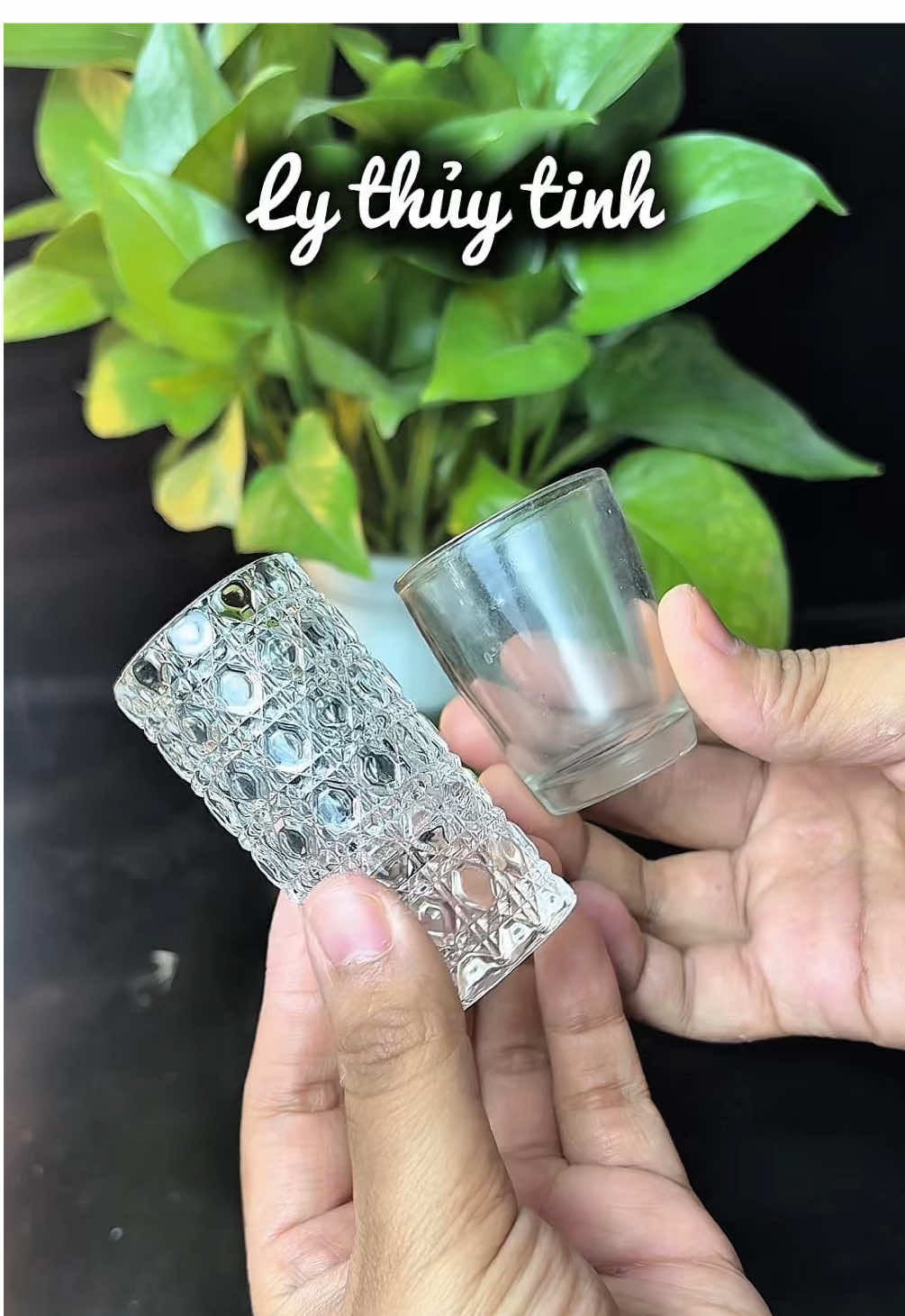 Ly thủy tinh mẫu mới đẹp nha #taphoacohuongvpp #lythuytinh #lyruouphale #lythuytinhdep #lythuytinhcaocap 