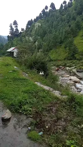 #frypgシ #tiktokviral #explore #fypシ゚viral #frypgシ #frypgシ #fry #everyone. @𝐁𝐨𝐬𝐧𝐢𝐚 𝐌𝐮𝐬𝐥𝐢𝐦 🇧🇦 @XiaomiPakistan @Mirinda Pakistan